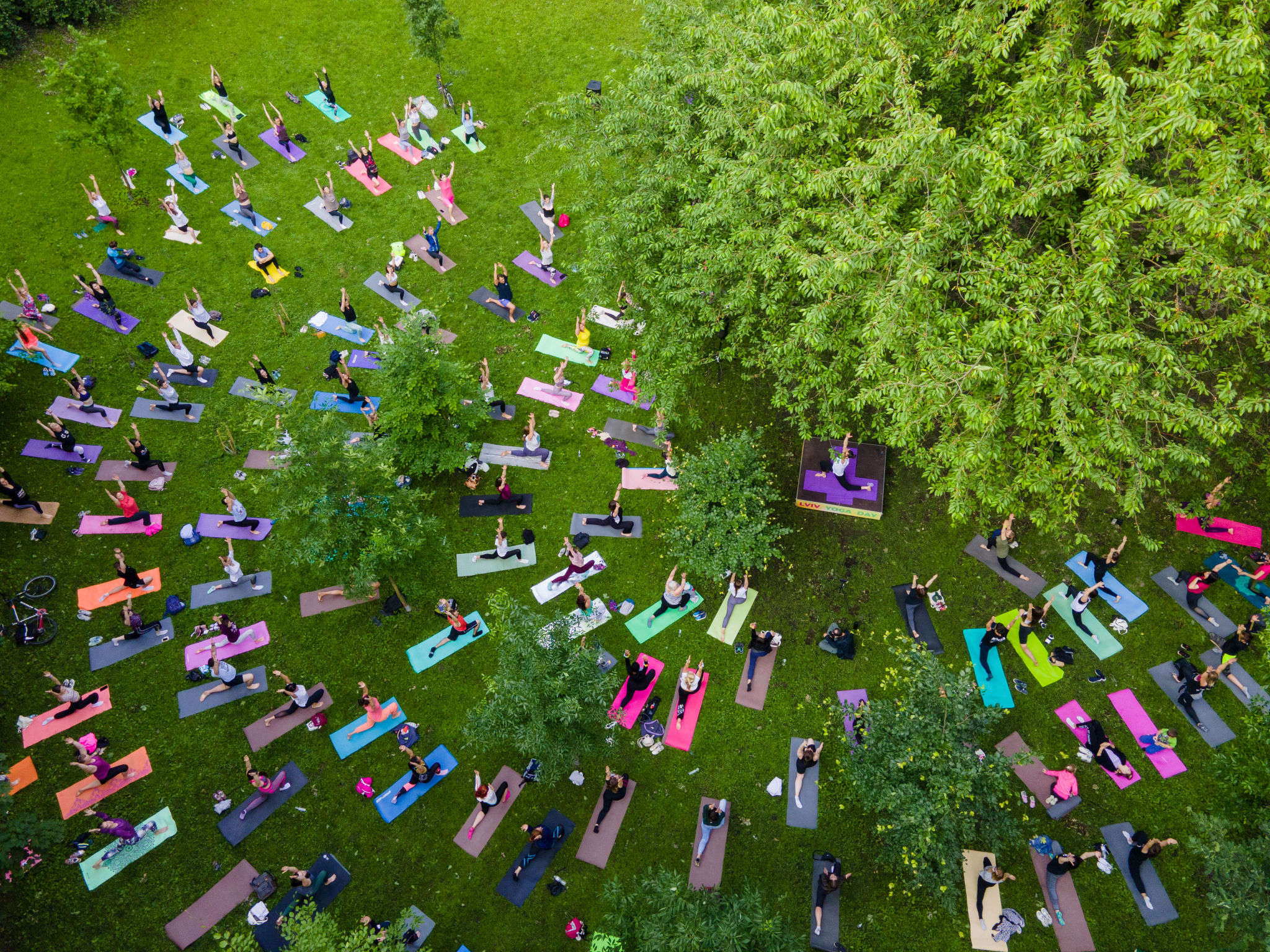 yoga wellness event