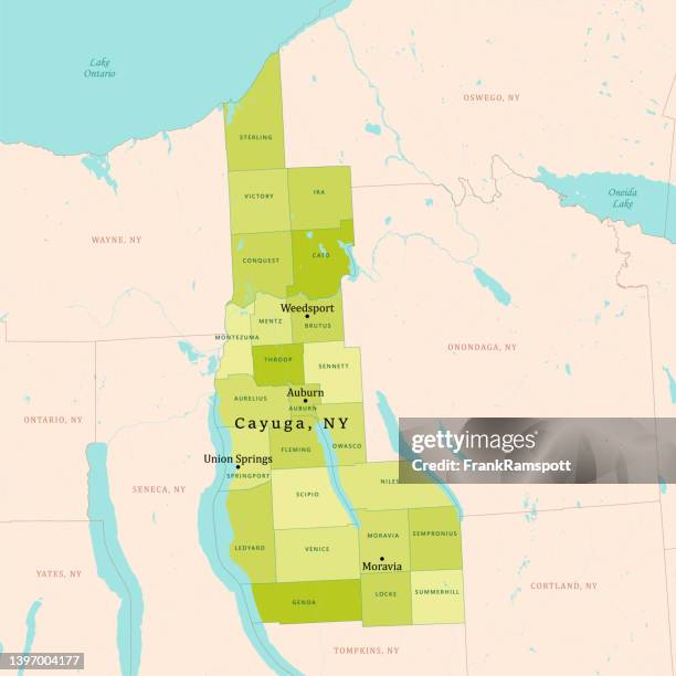 ny cayuga vector map green - auburn new york state stock illustrations