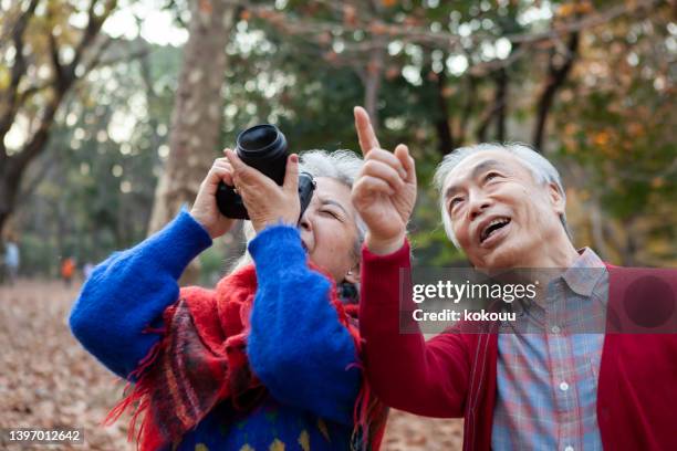 senior couple enjoying digital camera photography in nature. - bird watching stock pictures, royalty-free photos & images