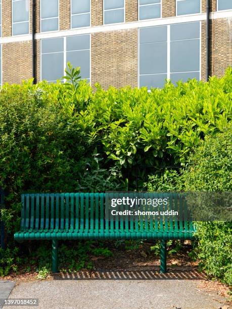empty park bench at a inner london public park - park bench stock pictures, royalty-free photos & images