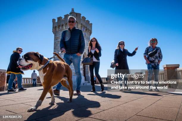 piombino and promontory - leghorn, tuscany, italy - port of leghorn - fotografias e filmes do acervo