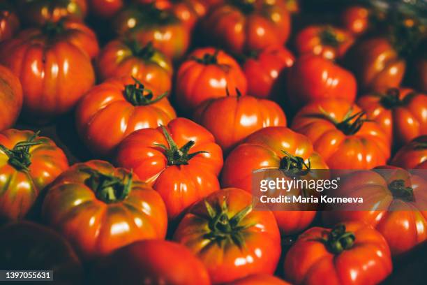 fresh organic tomato closeup. - ripe tomato stock pictures, royalty-free photos & images
