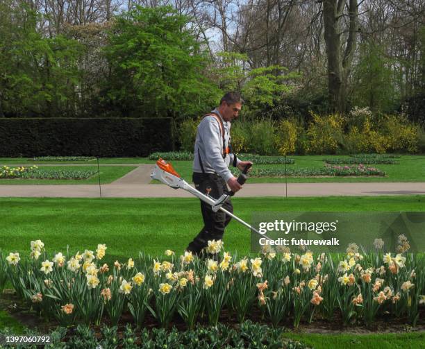 gardener at work - idrottsplatspersonal bildbanksfoton och bilder