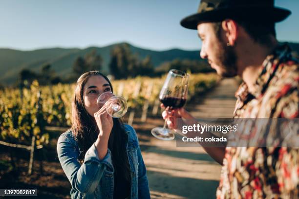 young couple drinking red wine on vineyard - wine making stock pictures, royalty-free photos & images