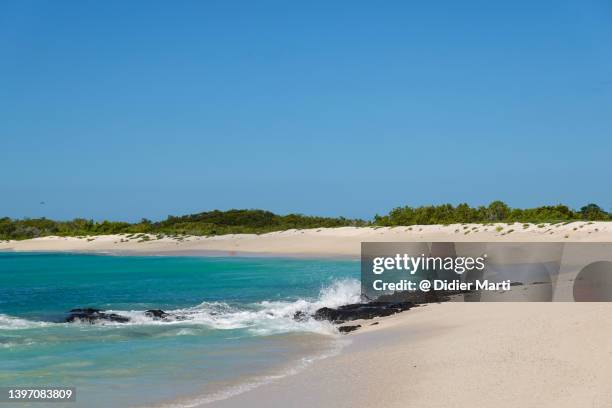 bachas beach in the galapagos island, ecuador - islas galápagos fotografías e imágenes de stock