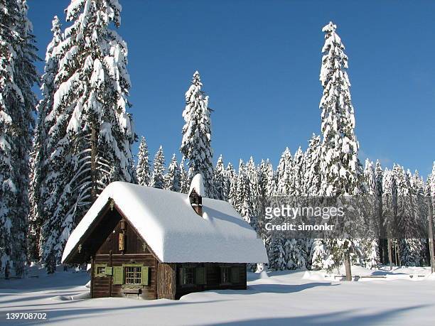 white christmas - hut stock pictures, royalty-free photos & images