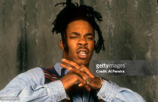 Rapper Busta Rhymes appears in a portrait taken at the premiere of the HBO film "Strapped", directed by Forest Whitaker, at the Joseph Papp Public...