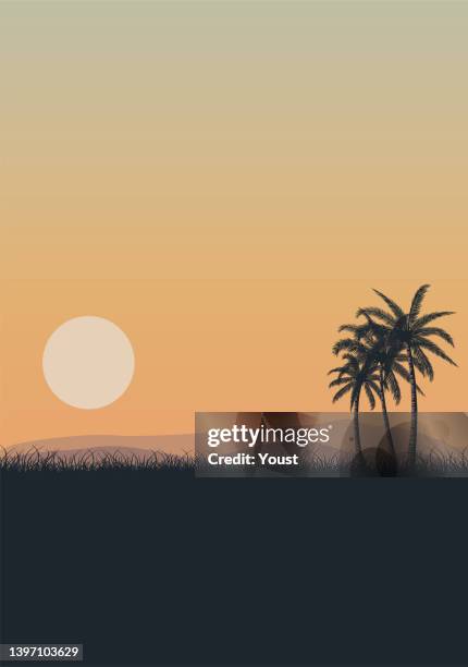 summer tropical sunset sunrise with beach palm trees - dark beach background stock illustrations