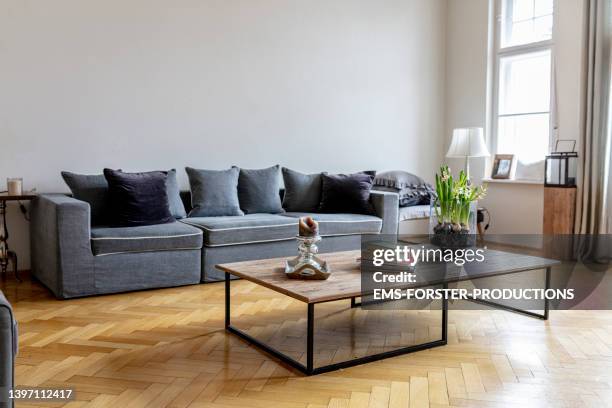 modern living room with wooden flooring in old apartment - 3d plant fotografías e imágenes de stock