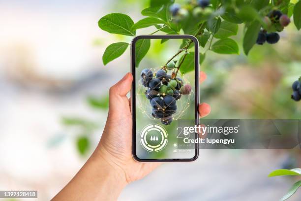 technology smart farming and innovation agricultural concepts - agricultura inteligente fotografías e imágenes de stock