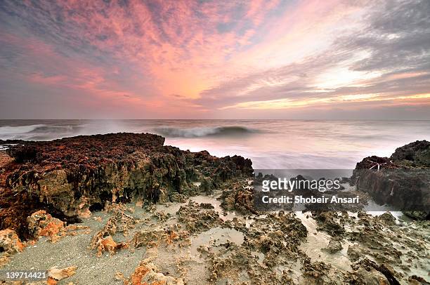 jupiter island sunrise, florida - blowing rocks preserve stock pictures, royalty-free photos & images
