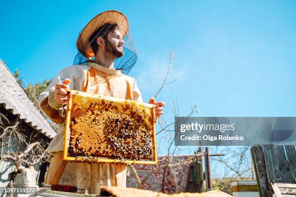 rural and natural worker beekeeper in protective costume and hat holding a wooden hive frame, honeycomb, small business - bee keeper stock pictures, royalty-free photos & images