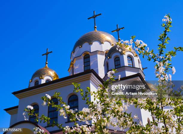 orthodox church cupols through blossoms tree flowers - kyiv spring stock pictures, royalty-free photos & images