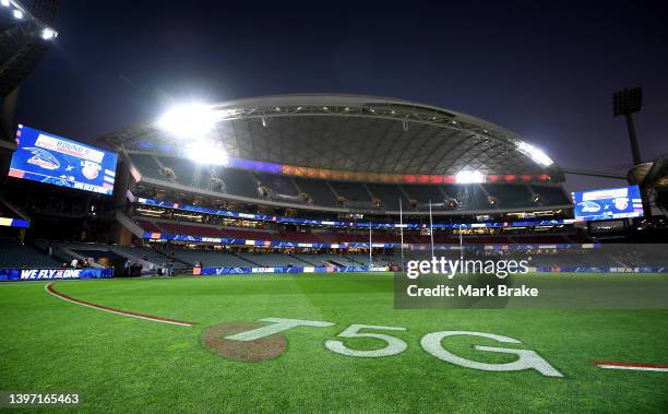 General view of the Riverbank stand before start of the round nine AFL match between the Adelaide Crows and the Brisbane Lions at Adelaide Oval on...