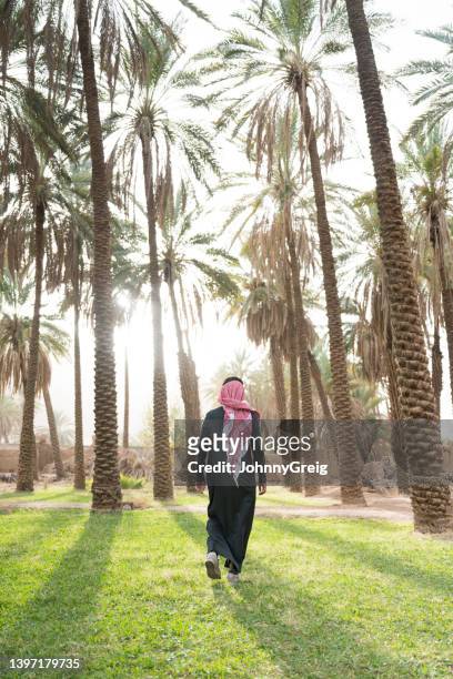 middle eastern man walking through date palm grove - un food and agriculture organization 個照片及圖片檔