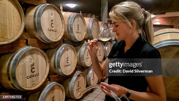 South African woman winemaker Malie McGregor, head of wine production at Cavalli Estate, tastes her fermenting Chardonnay white wines in the winery...