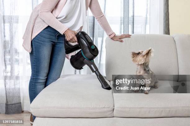 woman with vacuum cleaner cleaning couch with dog - aspirapolvere foto e immagini stock