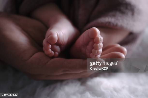 close-up of mother's hand is holding newborn baby feet while sleeping on the bed. - baby close up bed photos et images de collection