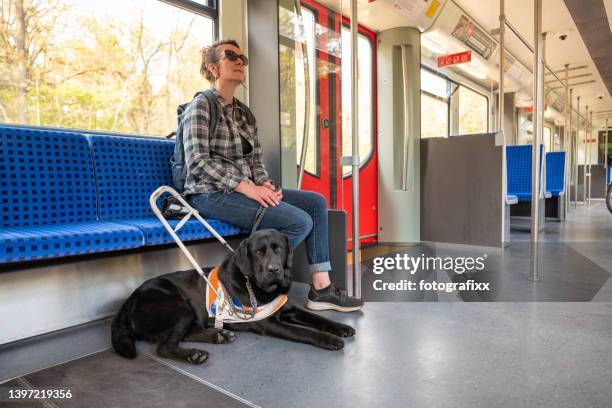 perro de asistencia acompaña a una mujer ciega en un tren - seeing eye dog fotografías e imágenes de stock