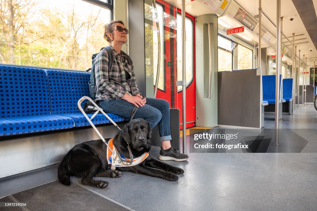 Assistance dog accompanies a blind woman on a train