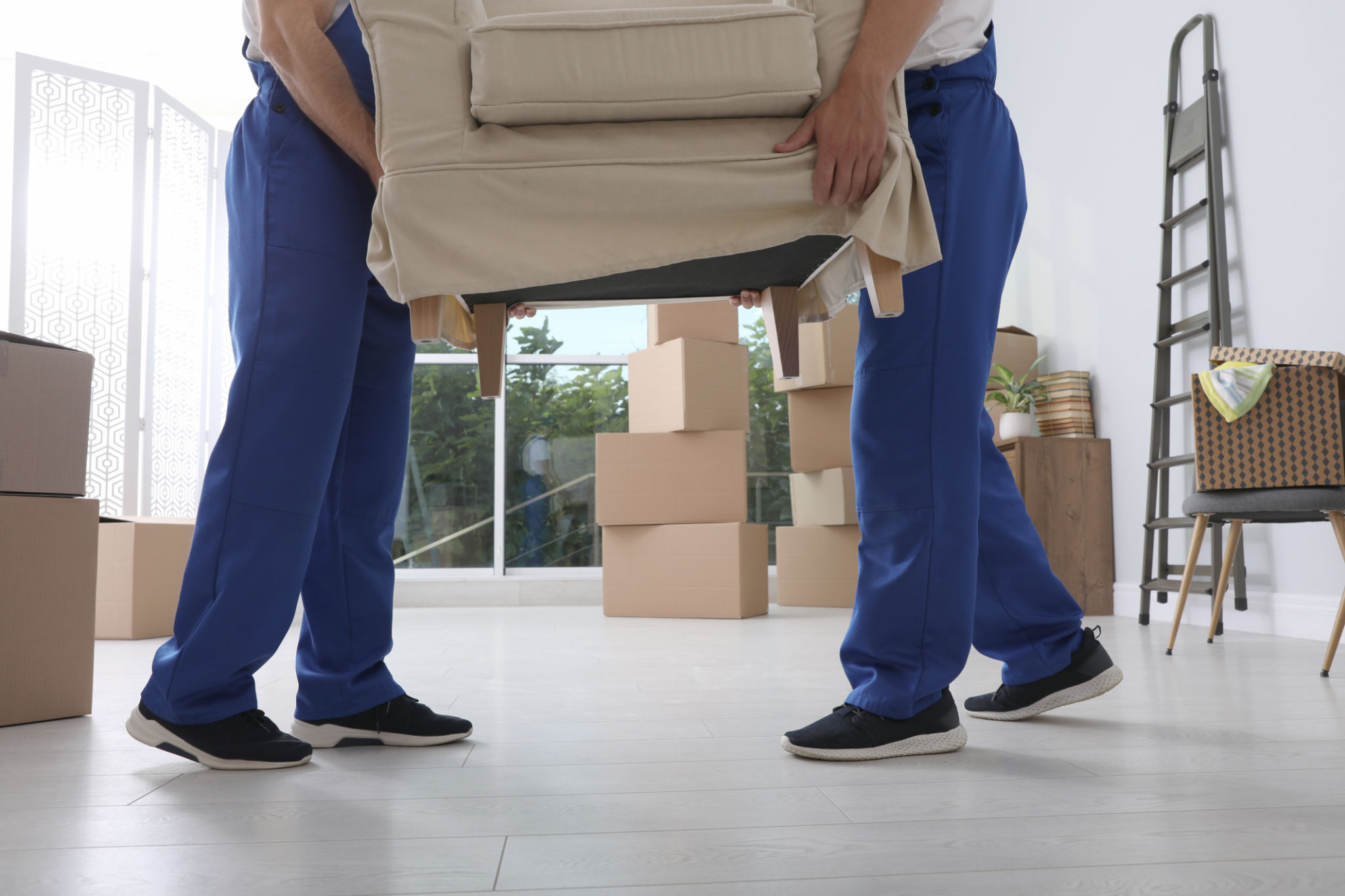 professional movers
