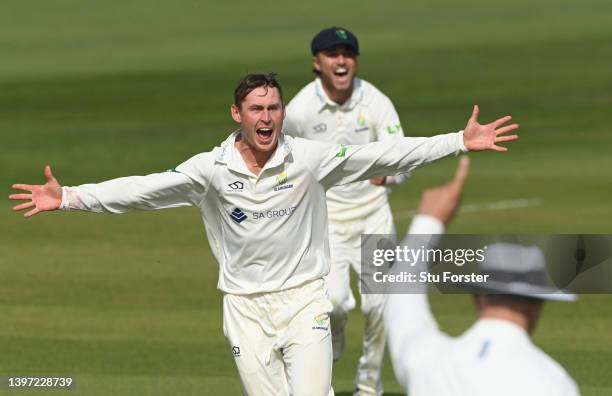 Glamorgan bowler Marnus Labuschagne celebrates after taking the wicket of Ben Stokes during the LV= Insurance County Championship match between...