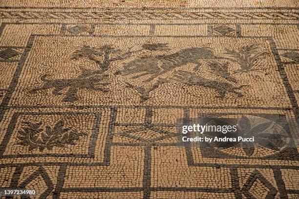 mosaic of boar being attacked by dogs, house of the wild boar, pompeii, naples, campania, italy - pompeii mosaic stock pictures, royalty-free photos & images