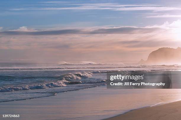 evening sea - dunedin nz stock pictures, royalty-free photos & images
