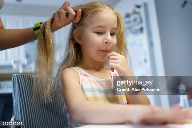 hairdress at home. mother making ponytails to her little daughter. focus on the girl, with her mother's hands only are in the frame. - family picture frame stockfoto's en -beelden