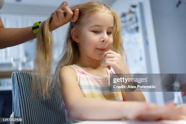 hairdress at home. mother making ponytails to her little daughter. focus on the girl, with her mother's hands only are in the frame. - amateur photography stock pictures, royalty-free photos & images