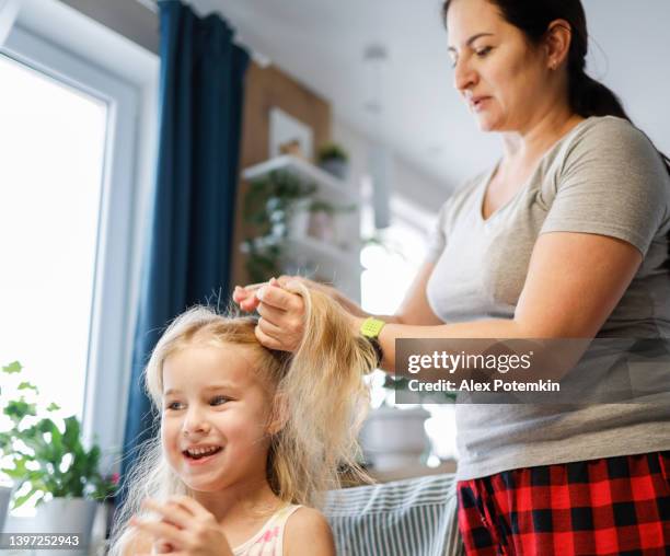 hairdress at home: young mother making ponytails for her little daughter - amateur photography stock pictures, royalty-free photos & images