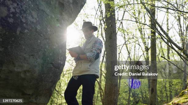 archeologist working on the field. - arqueologo imagens e fotografias de stock