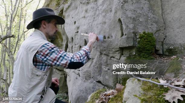 archeologist working on the field. - palaeontologist stock pictures, royalty-free photos & images