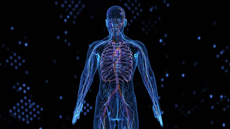 99,697 The Human Body Videos and HD Footage - Getty Images 99,697 The Human Body Videos and HD Footage - Getty Images