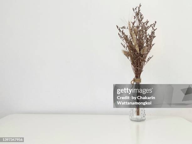 dried flowers in a glass vase,  white background. - dried plant stock pictures, royalty-free photos & images