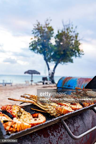 grilled lobsters on barbecue on tropical beach - antigua leeward islands stock-fotos und bilder