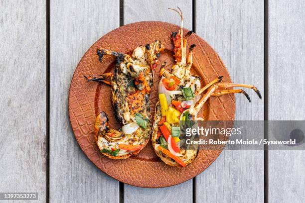 dish with stuffed grilled lobsters, overhead view, caribbean - karibische kultur stock-fotos und bilder