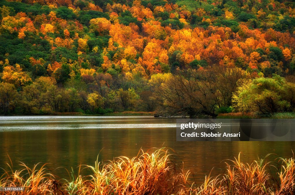 Owasco lake in autumn
