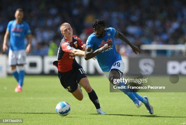 Albert Gudmundsson of Genoa CFC challenges Andre-Frank Zambo Anguissa of SSC Napoli during the Serie A match between SSC Napoli and Genoa CFC at...