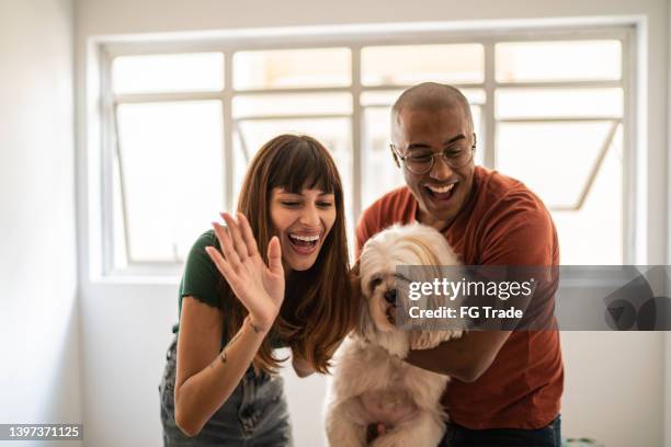 young couple with dog doing a video call at home - dog waving stock pictures, royalty-free photos & images