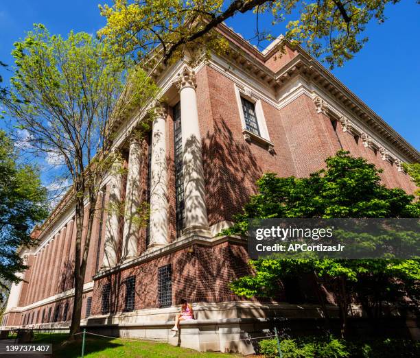 widener library in harvard yard - harvard university - cambridge massachusetts - ivy league stock pictures, royalty-free photos & images