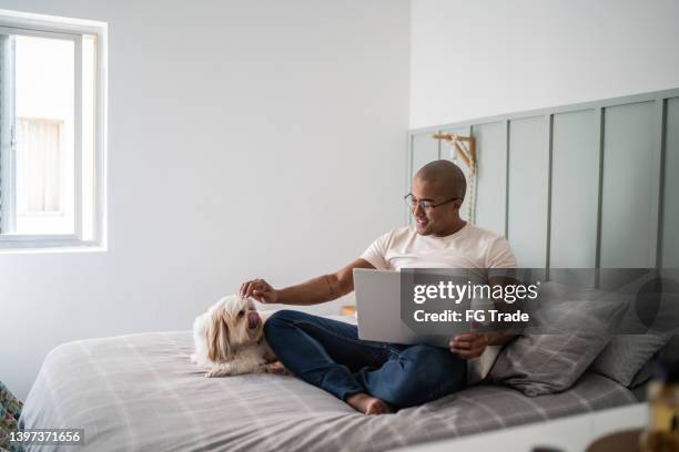 young man taking care of his dog while using the laptop at home - shaved dog stock pictures, royalty-free photos & images