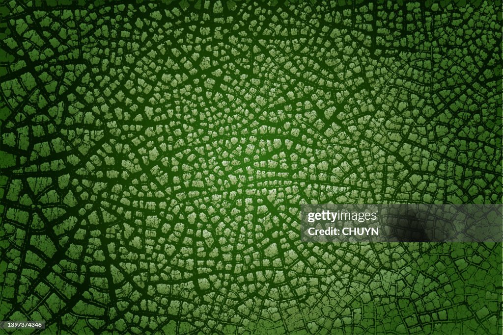 Green life