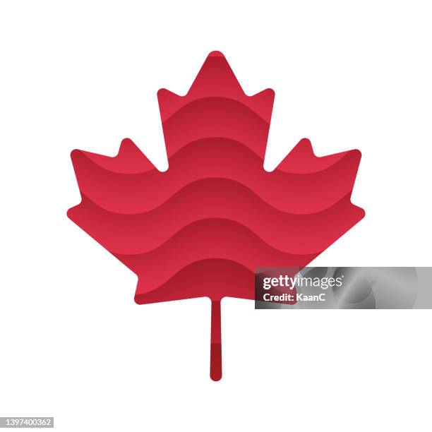 maple leaf icon. canadian symbol. vector illustration. stock illustration - canadian maple leaf icon stock illustrations