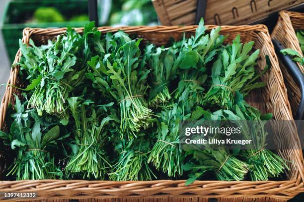 arugula. - rucola stock-fotos und bilder