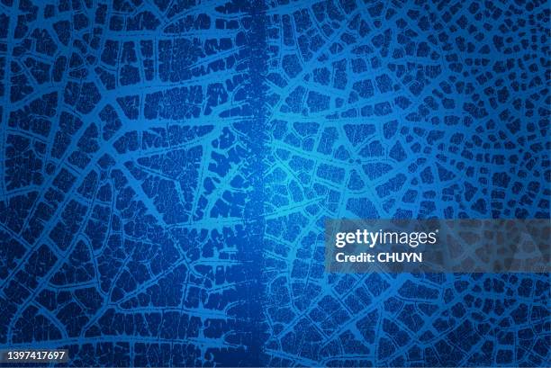 organic blue - surface level road stock illustrations