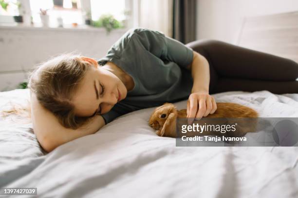 young beautiful woman is lying at home on a bed next to a homemade decorative rabbit - pet rabbit stock pictures, royalty-free photos & images