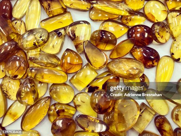 citrine cabochons - amber photos et images de collection