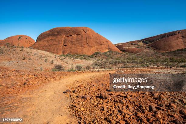 the amazing landscape in australian outback, northern territory state. - tropical bush stockfoto's en -beelden