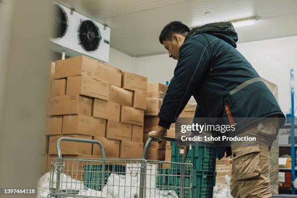 man holding the trolley inside cold storage room. - cold storage room stock pictures, royalty-free photos & images